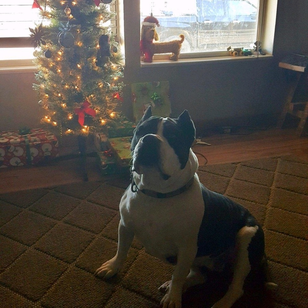 Meet your Posher, Loretta